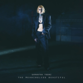 The Meaningless Beautiful