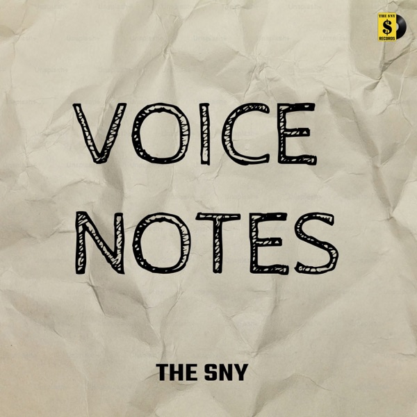Voice Notes (feat. PREET SEMBHI)