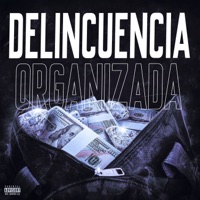 Delincuencia Organizada - Single - Anzer