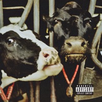 City's Gone To Sleep - Single - sounds mint