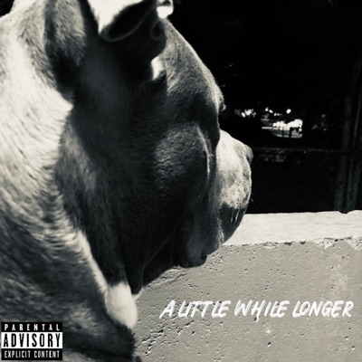 A Little While Longer (feat. Miss Sunn) - Single