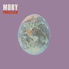 Porcelain cover art