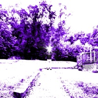 ENDLESS MADNESS - Single - Shane T. Hoffmann