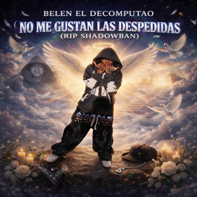 No Me Gustan Las Despedidas (RIP Shadowban) - Single