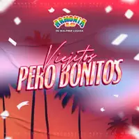 PIEL CANELA — ARMONIA 10