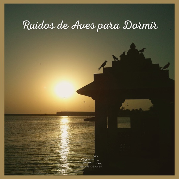 Ruidos de Aves para Dormir