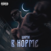 В норме - Single - Шама