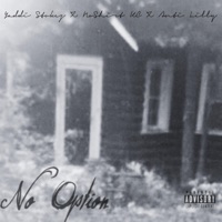 No Option (feat. NoShirt KC & Anti Lilly) - Single - Yaddi Stokez