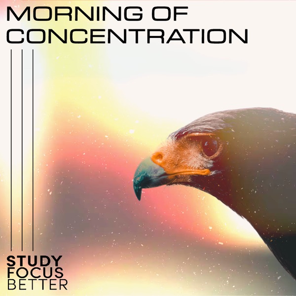 Morning of Concentration