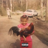 Fried Chicken Freestyle - Single - DjangoBxtch