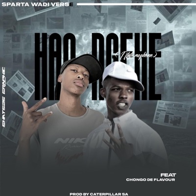 Hao ngeke (ntate Mopheme) (feat. Chongo de flavour) - Single