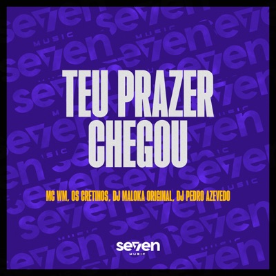 Teu Prazer Chegou - Single