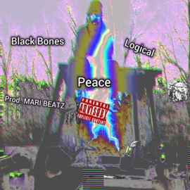 Peace (feat. Black Bones) Logical