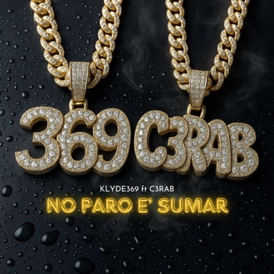 NO PARO E SUMAR (feat. C3RAB) - Single