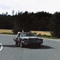 SKOV (feat. Køber) - Single - Lings