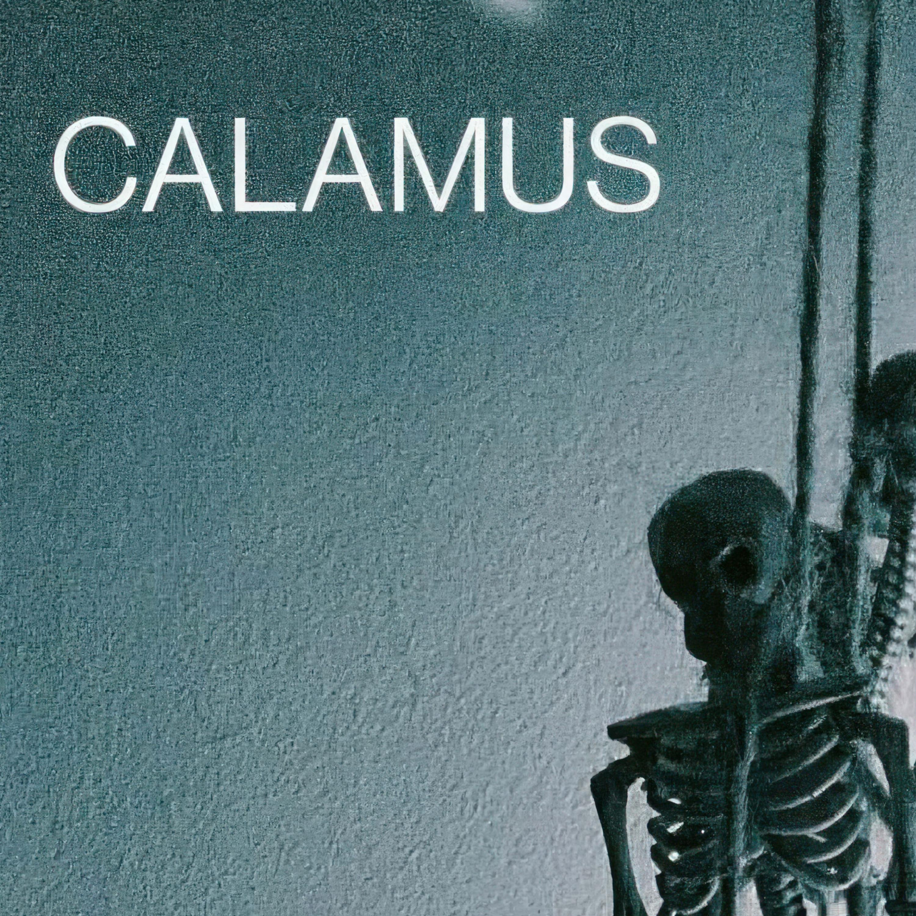 Calamus - Nuba Gharibat Al-Husayn - d) Btayhi