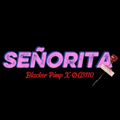Señorita - Single