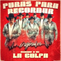 Échame A Mi La Culpa - Single - Los Originales De San Carlos