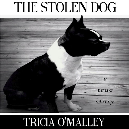 The Stolen Dog (Unabridged) cover