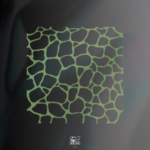 Lemons On Acid - Single