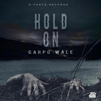 Hold On (feat. 1GForce) - Single