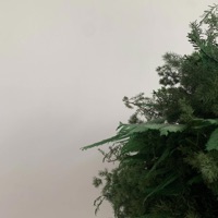 void - Single - matebusi