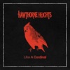 Icon Like A Cardinal - Single