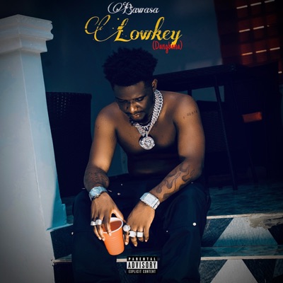 Lowkey (Dangbana) - Single