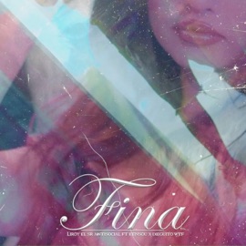 Fina (feat. Diego letelier & KENSOU) Sr Antisocial