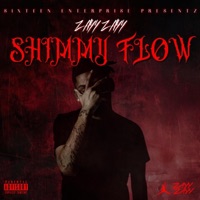 Shimmy Flow - Single - Zayy Zayy