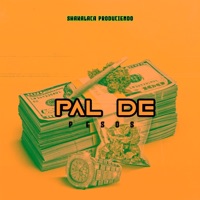 PAL DE PESOS - Single - shakalaca produciendo
