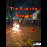 The Beautiful Struggle - Single - Melo360 & Cynical Minded