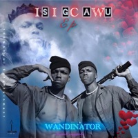 Wandinator - Mina nawe (feat. Zeeh & Nomvelo)