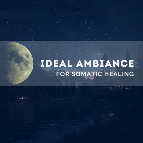 Ideal Ambiance for Somatic Healing