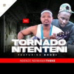 Ndenze ndimamatheke (feat. Bhodi) - Single