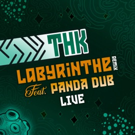 Labyrinthe (feat. Panda Dub) [Remix (Live)] Tetra Hydro K