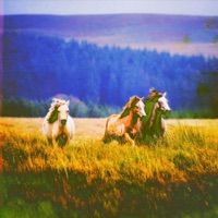 HIDING (DEMO) - Single - CRONIN