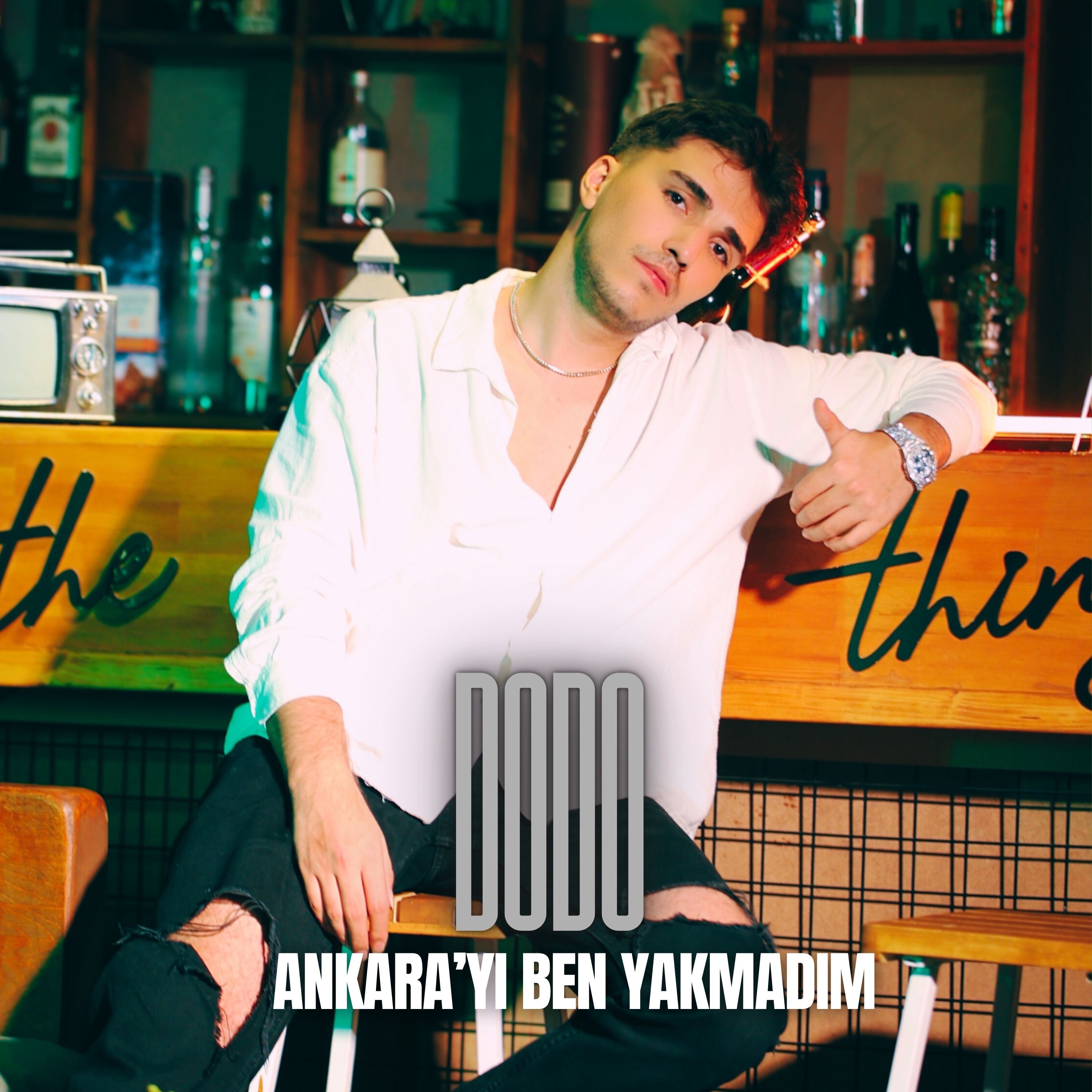 Ankara'yı Ben Yakmadım - Single