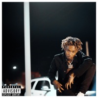 Doing the Most - Single - Molze