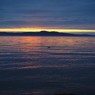 Can't Describe (Magic) - Single