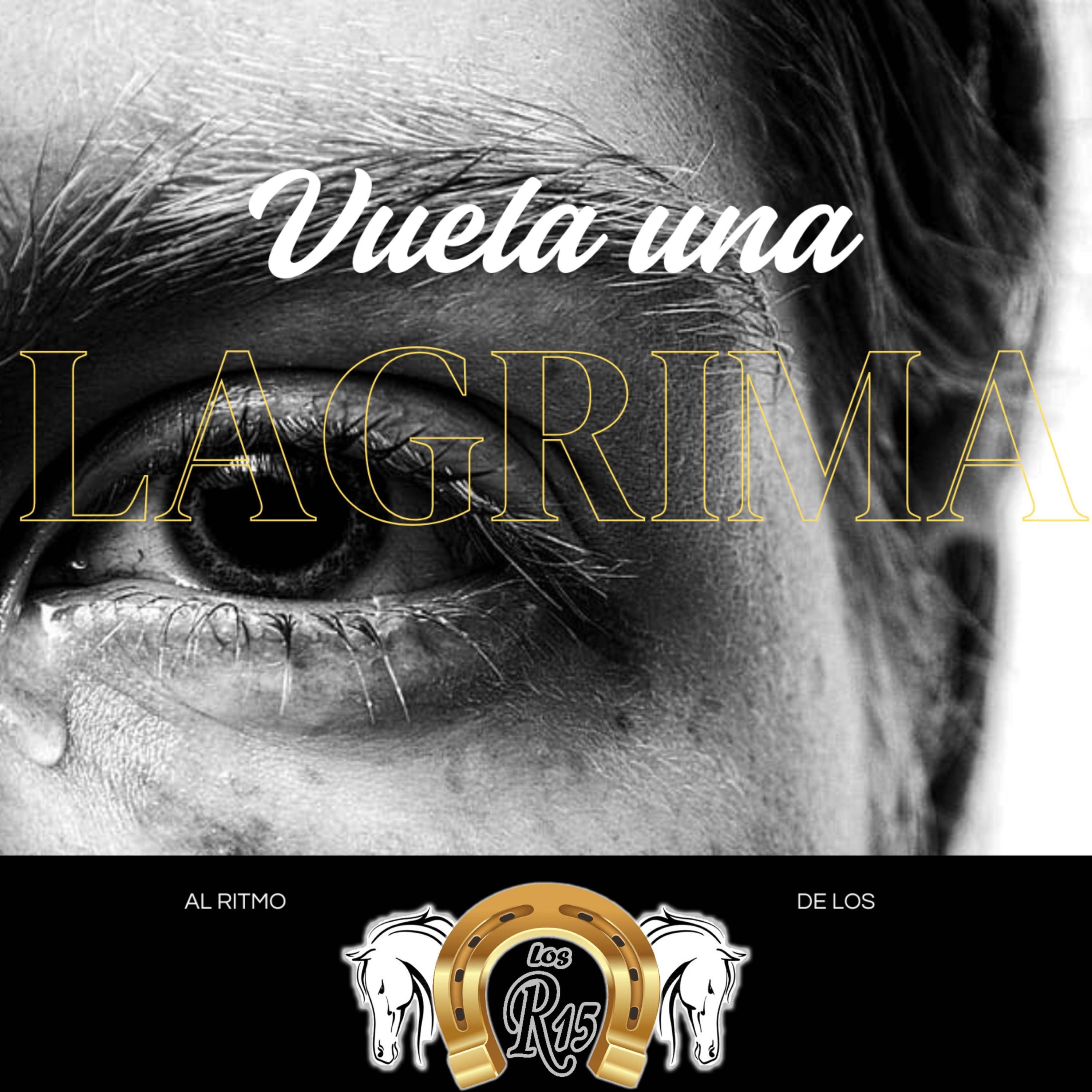 Vuela Una Lágrima - Single