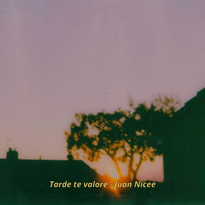 Tarde Te Valore - Single