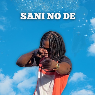 Sani No De - Single