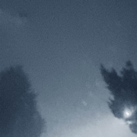 paradise - Single - Diskrypt