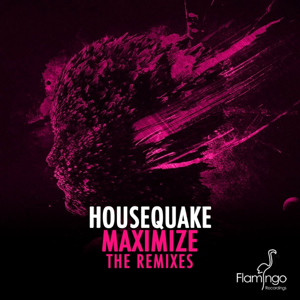 Maximize (The Remixes) - Single