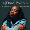 Ndamuwana - Loyalty Charamba new Single