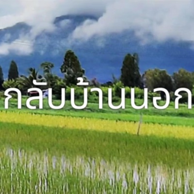กลับบ้านนอก - Single
