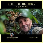 STILL GOT the BLUES (cover, instrumental arrangement) [FOR YOU] artwork