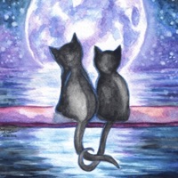 home - Single - vairrin