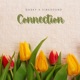 Connection feat Vibesound Single